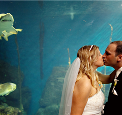 A Modern Wedding at a CT Aquarium / July 11, 2009