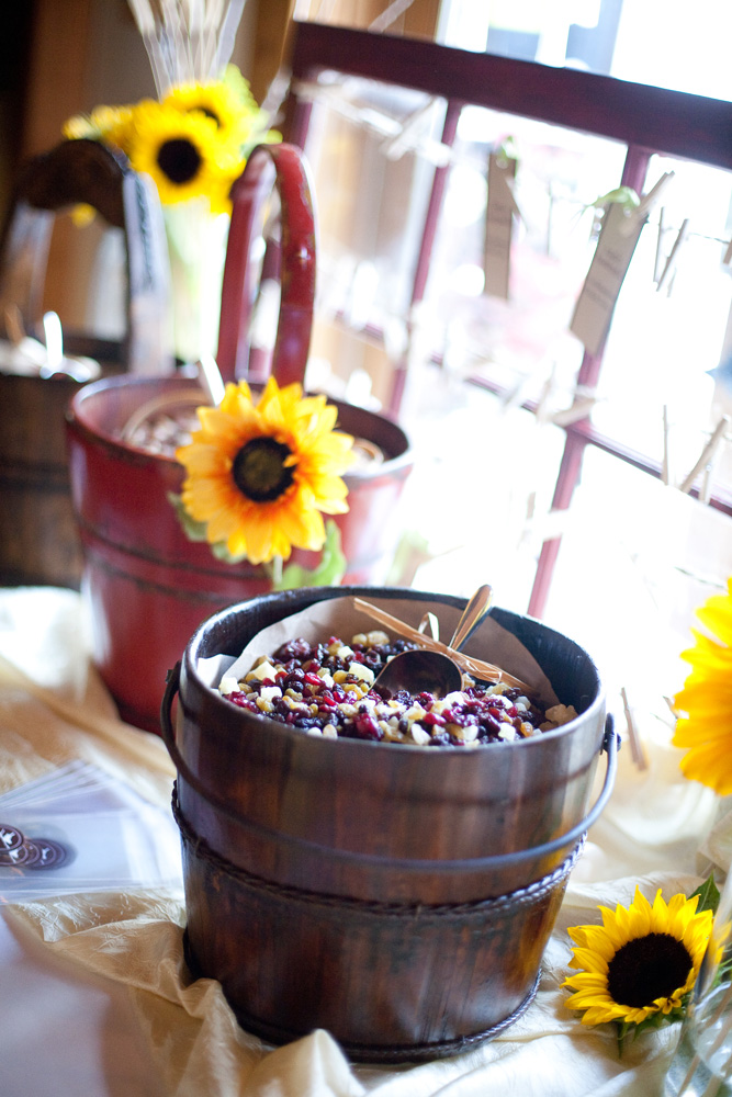 michigan-barn-yard-wedding