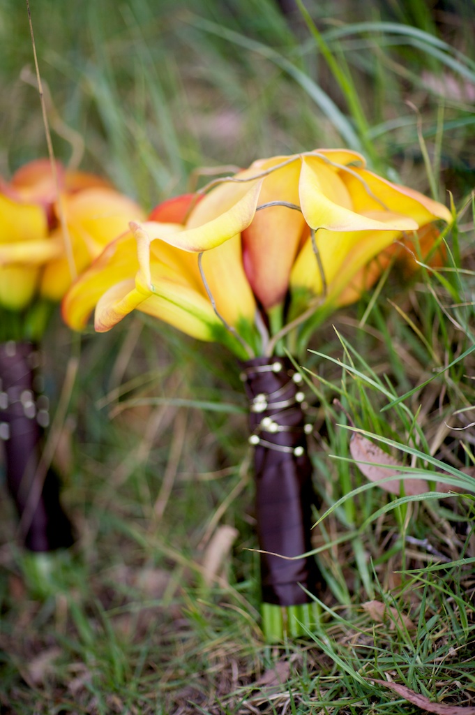 big-sur-wedding