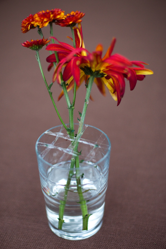 do-it-yourself-holiday-table-decor