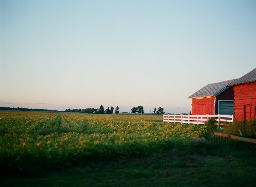 michigan-country-chic-wedding