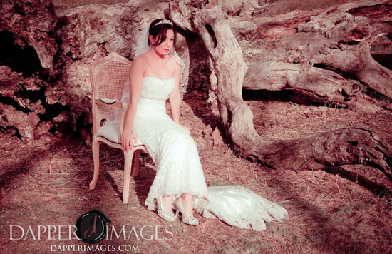 Dreamy Forest Trash The Dress Shoot :: Erica + Erik