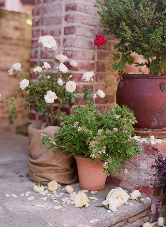 hummingbird-nest-ranch-wedding-by