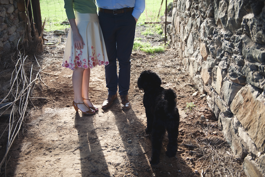 virginia-countryside-engagement-from