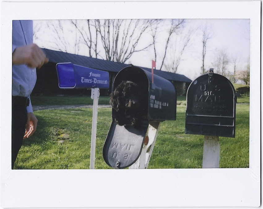 virginia-countryside-engagement-from