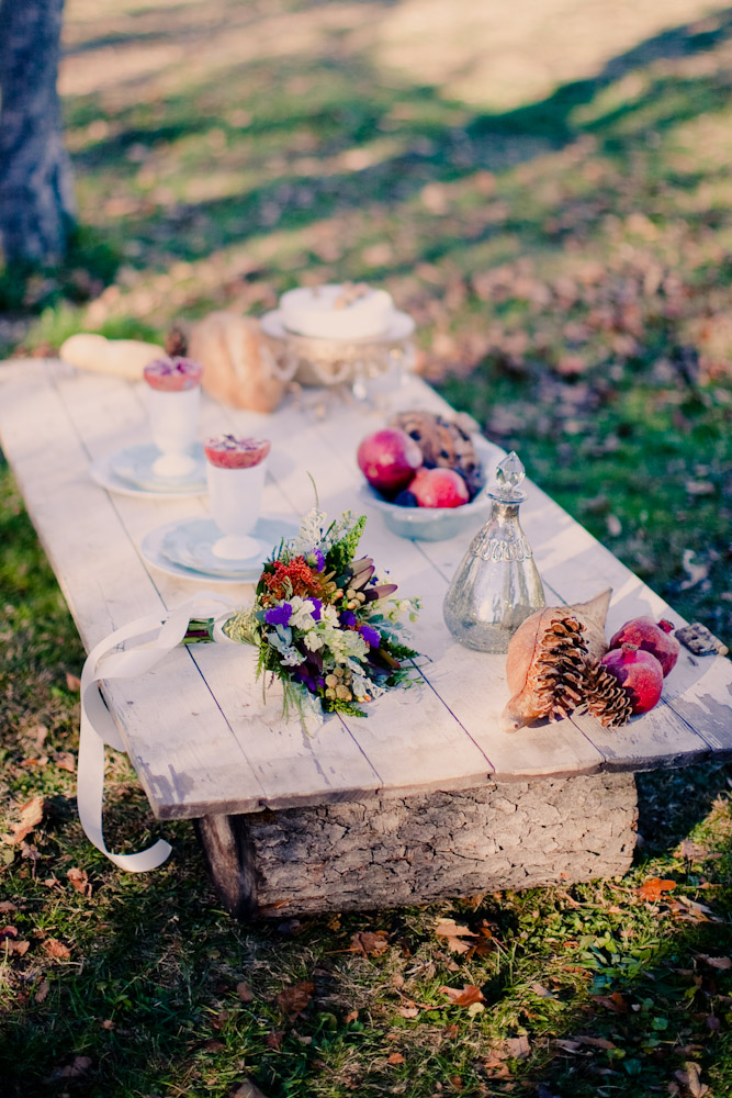 an-elegant-picnic-engagement-shoot-by