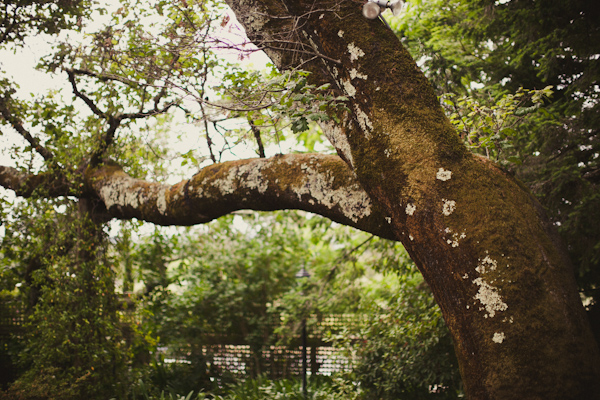 rainy-sonoma-wedding-by-zach-anderson