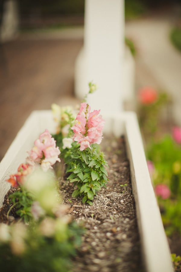 rainy-sonoma-wedding-by-zach-anderson