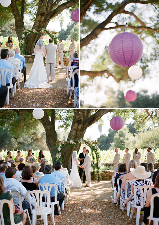 Vineyard Purple And Yellow Wedding