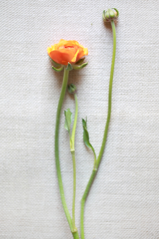 orange-wedding-flower-guide