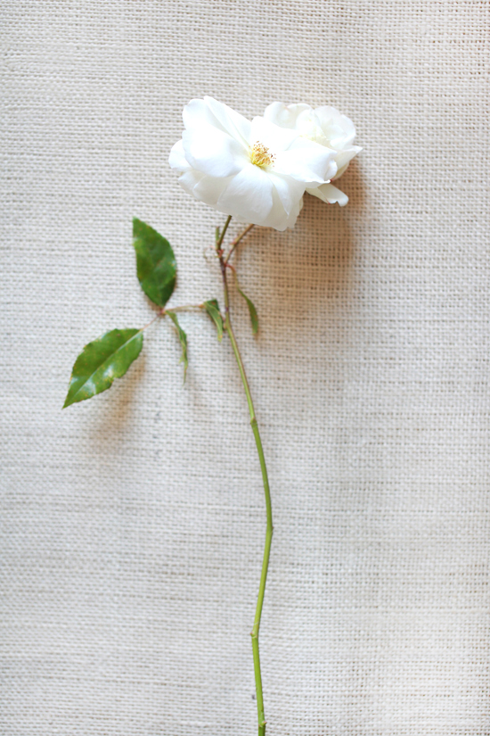 white-wedding-flower-guide