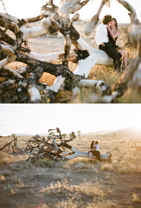 Joshua Tree Engagement Photography