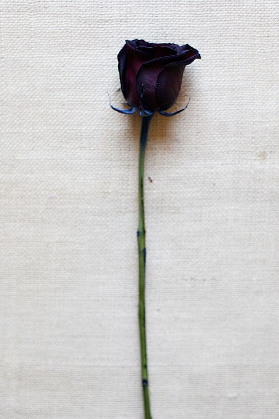 black-and-red-wedding-flowers