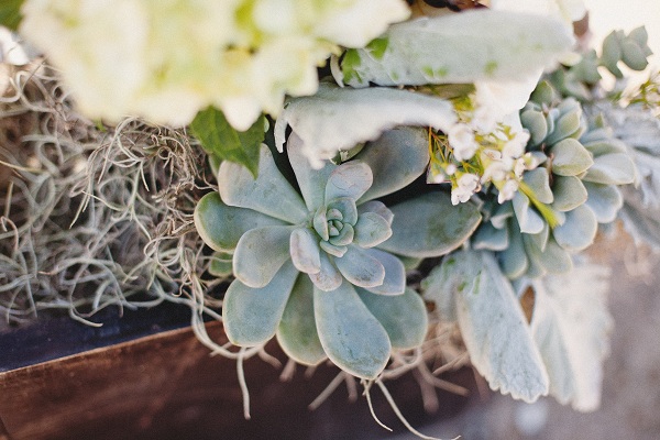 san-clemente-historic-cottage-wedding