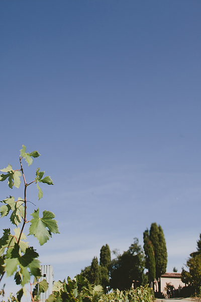 tuscany-countryside-wedding