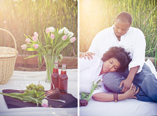 Warm Picnic Engagement Session - Dallas Wedding Photography