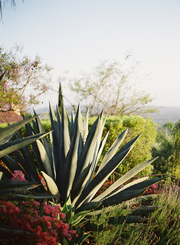 santa-barbara-estate-wedding