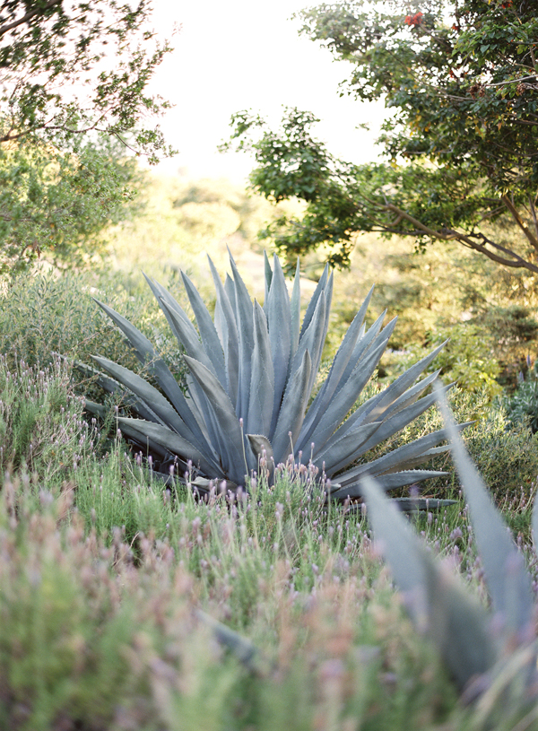 santa-barbara-estate-wedding