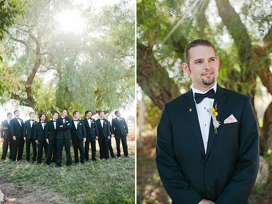 Central Coast Aqua And Poppy Wedding