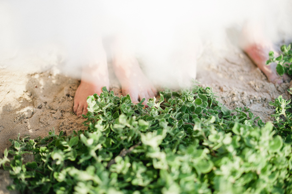 grootbos-nature-reserve-wedding