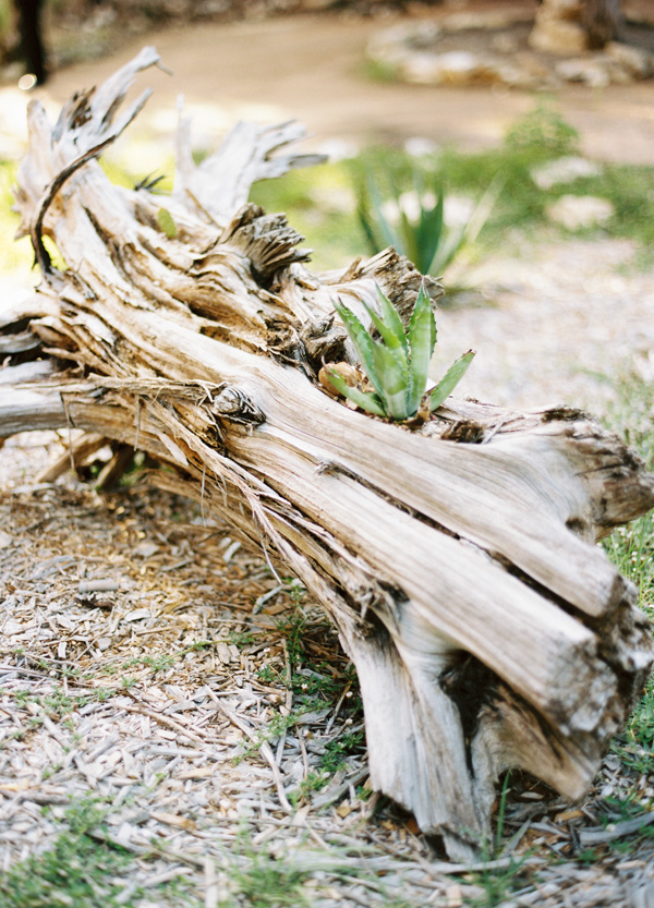 texas-elopement-captured-by-ryan-ray