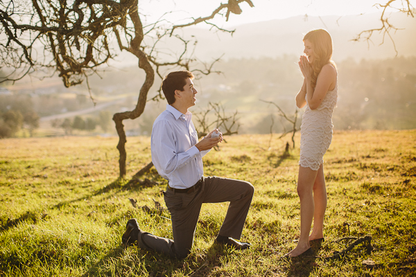 real-surprise-wedding-proposal