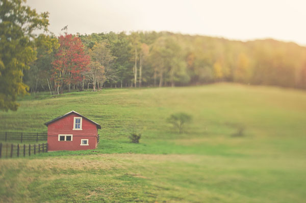 west-virginia-rustic-barn-wedding