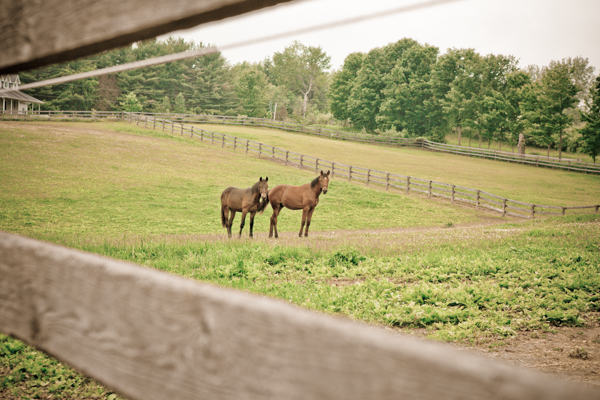 rustic-peach-wedding-on-a-horse-farm