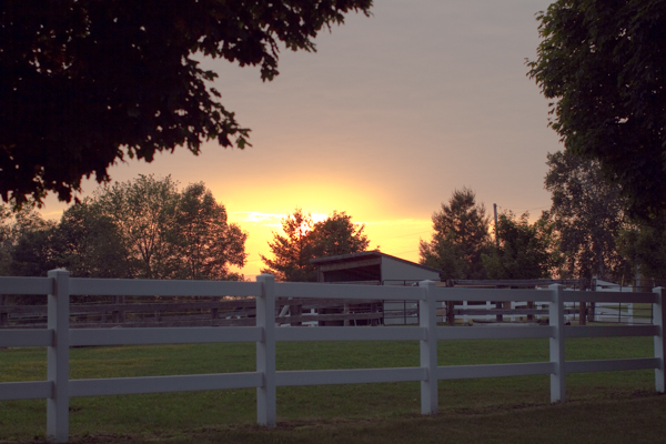 rustic-peach-wedding-on-a-horse-farm