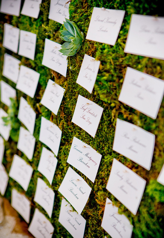 moss and succulent escort card wall