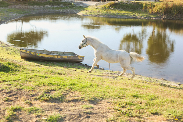 rustic-ranch-wedding-in-san-luis-obispo