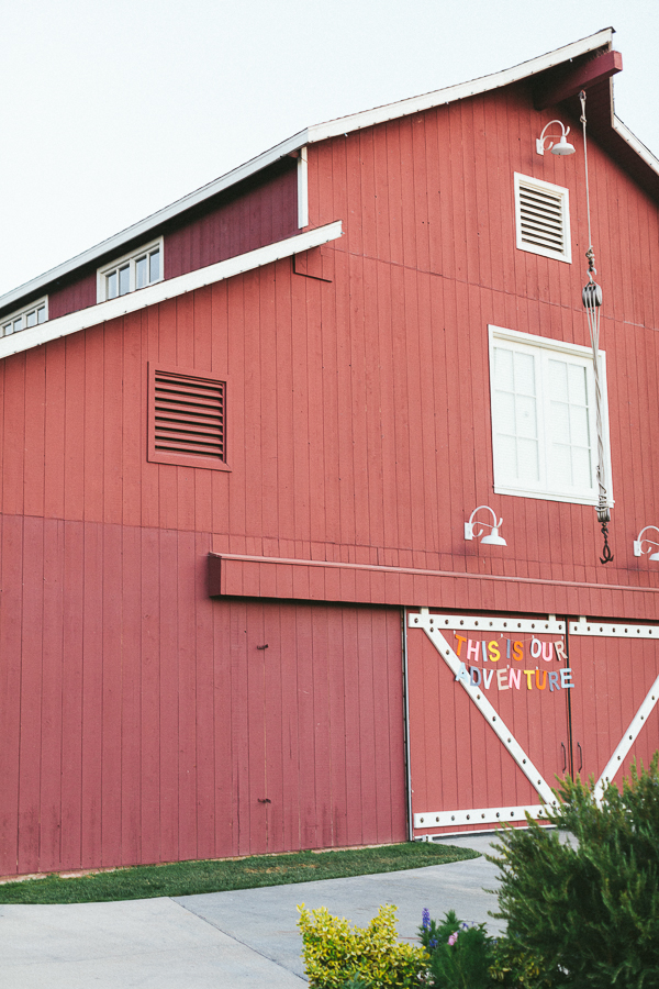 a-bright-and-whimsical-wedding