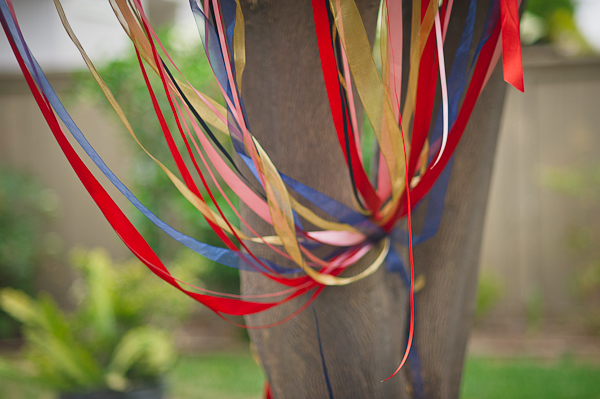 diy-backyard-wedding-on-the-4th-of-july