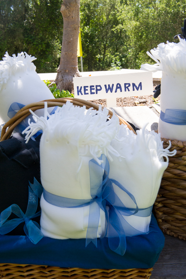 rustic-blue-and-white-wedding