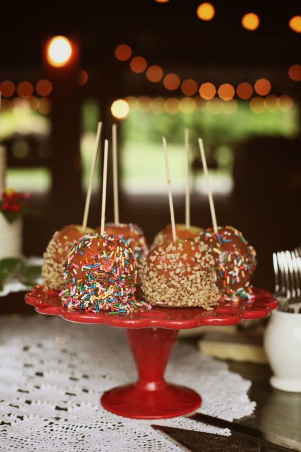 colorful-rustic-wedding-at-cedarwood