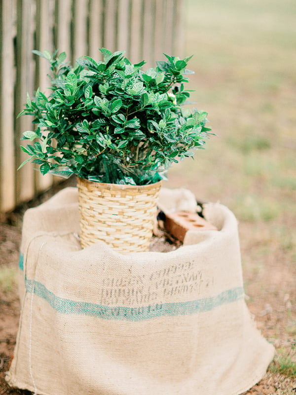 relaxed-georgia-backyard-wedding