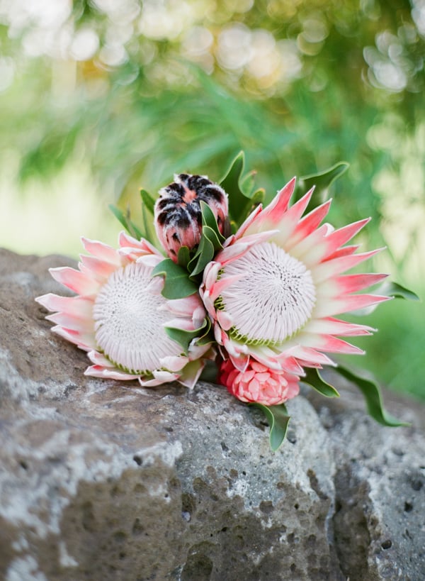 rustic-bohemian-elopement-in-hawaii