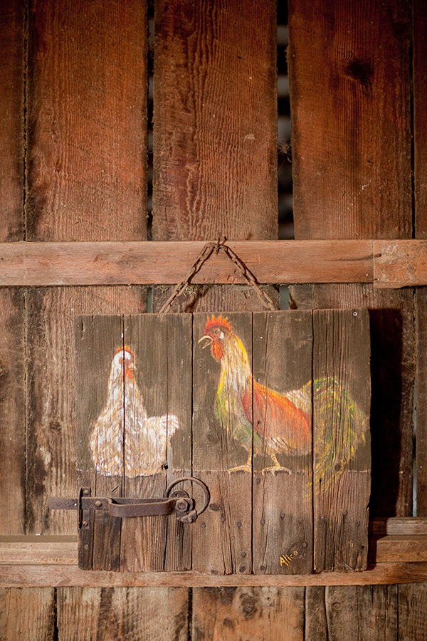 rustic-wedding-at-the-blue-rooster-inn