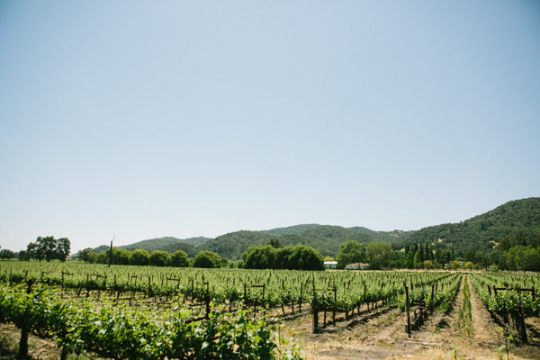 elegant-vineyard-wedding-in-pink-and