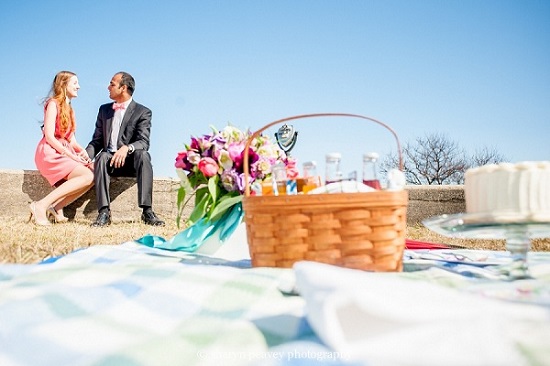 Maine picnic proposal