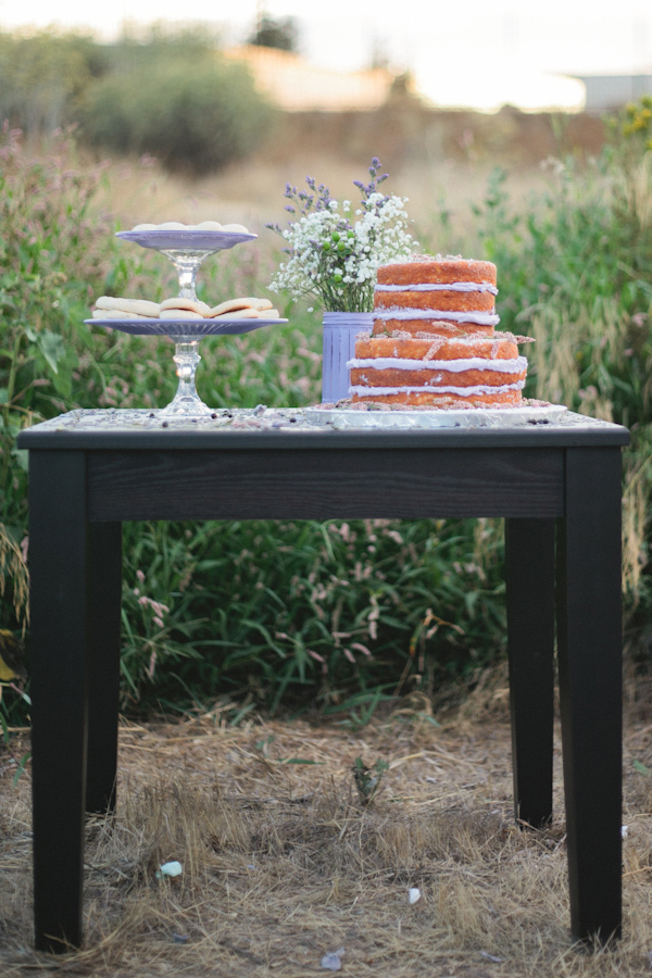 rustic-lavender-wedding-inspiration