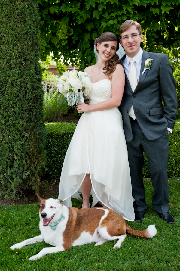 elegant-california-wine-country-wedding