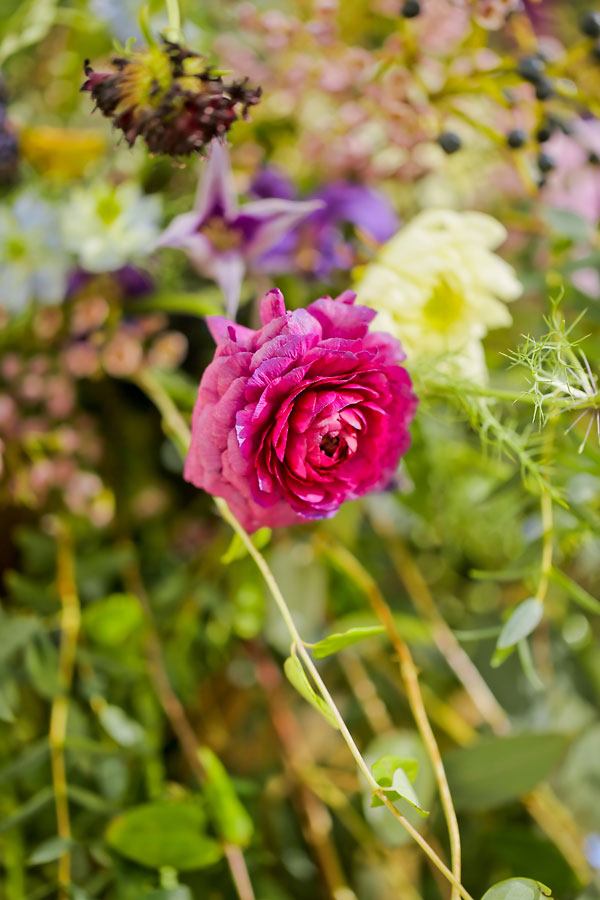 elegant-gold-and-purple-wedding-ideas