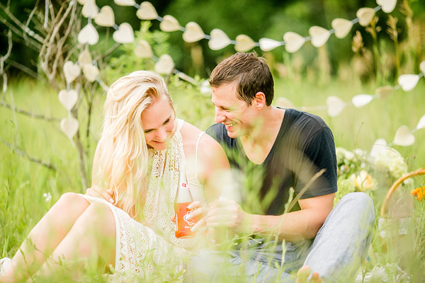 private-picnic-engagement-session