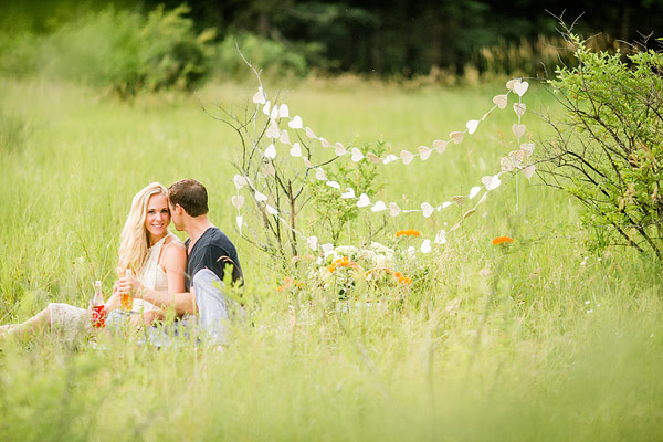 private-picnic-engagement-session