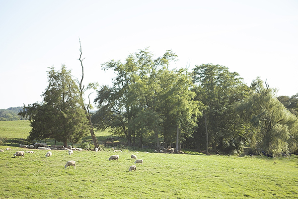 pastel-sheep-wedding-inspiration