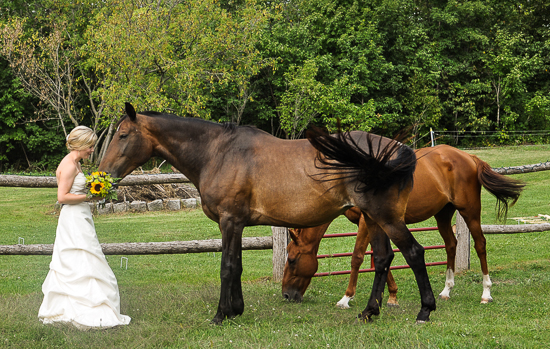 Canadian Country Wedding!