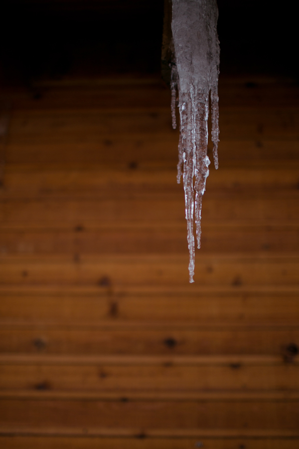 vancouver-whimsical-winter-wedding