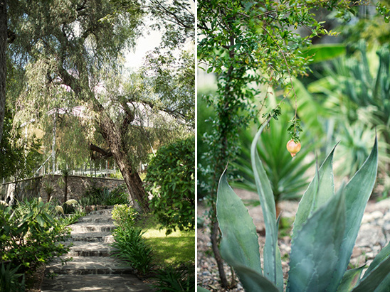 lush mexican garden