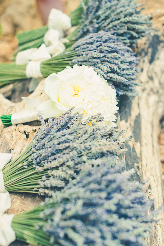 northern-california-farm-wedding